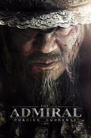Admiral Roaring Currents (2014) Hindi Dual Audio 480p BluRay 400MB