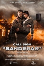 Call Sign Banderas (2018) Hindi Dual Audio HDRip 720p – 480p
