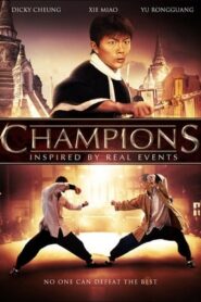 Champions (2008) Hindi Dual Audio 480p HDRip 380MB