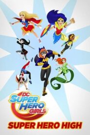 DC Super Hero Girls Super Hero High 2016 100MB Dual Audio[Hindi-Enlish]