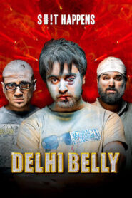 Delhi Belly 2011 Full Movie 480p DVDRip [300MB]