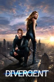 Divergent (2014) Hindi Dual Audio 480p BluRay 450MB
