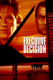 Executive Decision (1996) Hindi Dual Audio 480p BluRay 400MB