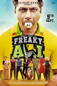 Freaky Ali 2016 360MB Full Movie 480p DVDRip