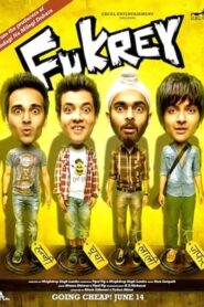 Fukrey (2013) Full Movie Bluray – 1GB