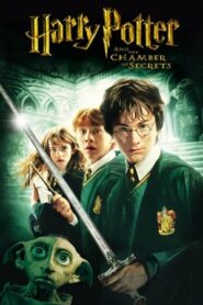 Harry Potter and the Chamber of Secrets (2002) Dual Audio [Hindi-Enlish] [100MB]