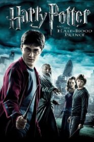 Harry Potter and the Half-Blood Prince (2009) HD Dual Audio (Hindi-English) [100MB]