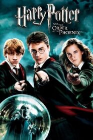 Harry Potter and the Order of the Phoenix (2007) Dual Audio [Hindi-English] [140MB]
