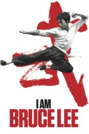 I Am Bruce Lee 2012 300MB Hindi Dual Audio Bluray 480p