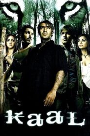 Kaal 2005 HDRip 480p 350MB Hindi