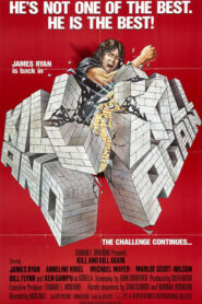 Kill and Kill Again (1981) Hindi Dual Audio 480p BluRay 330MB