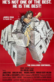 Kill and Kill Again (1981) Hindi Dual Audio 720p BluRay [1.2GB]
