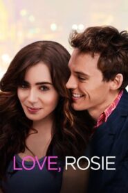 Love, Rosie 2014 Dual Audio Hindi 720p BluRay [900MB]