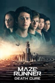 Maze Runner: The Death Cure (2018) Hindi Dual Audio 480p BluRay 450MB Esubs