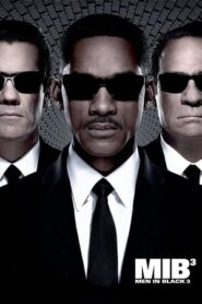 Men in Black 3 (2012) Hindi Dual Audio 480p BluRay 340MB
