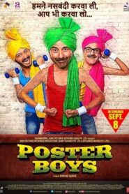 Poster Boys 2017 Movie 720p HDRip – 1.1GB
