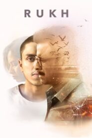 Rukh 2017 Movie 720p HDRip x264 [900MB]