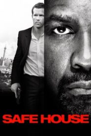 Safe House 2012 100mb Hindi Dual Audio movie Hevc BRRip