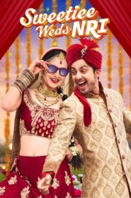Sweetiee Weds NRI 2017 160mb hindi movie Hevc HDTVRip