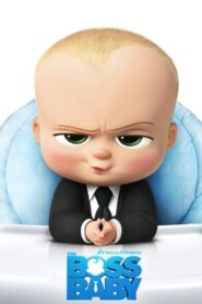 The Boss Baby 2017 300MB Hindi Dual Audio Bluray