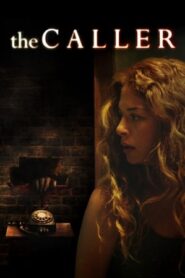 The Caller 2011 Dual Audio Hindi 480p BluRay 300MB