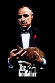 The Godfather Part I (1972) Dual Audio Hindi Movie 720p BluRay – 1GB