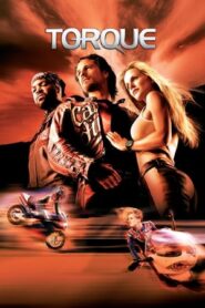 Torque 2004 Hindi Dual Audio BRRip 720p [600MB]