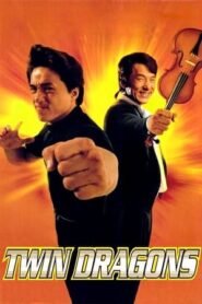 Twin Dragons 1992 [Hindi] Dual Audio BRRip 300MB