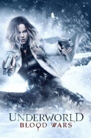 Underworld Blood Wars 2016 Hindi Dubbed 300MB HDRip 480p