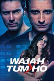 Wajah Tum Ho 2016 [PDVDRip] 700MB BEST