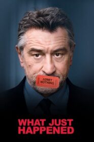 What Just Happened (2008) Dual Audio Hindi 480p BluRay 350MB