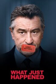 What Just Happened (2008) Dual Audio Hindi 720p BluRay [1.1GB]