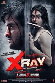 X Ray The Inner Image 2019 Hindi Movie 720p HDRip x264 [900MB]