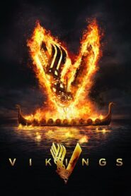 Vikings (Season 1 – 6) Dual Audio [Hindi-English] BluRay Complete Series 480p [150MB] | 720p [400MB]