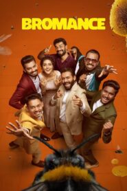 Bromance (2025) DS4K WEB-DL [Hindi (DD5.1) & Malayalam] 4K 1080p 720p & 480p Dual Audio [x264/10Bit-HEVC]