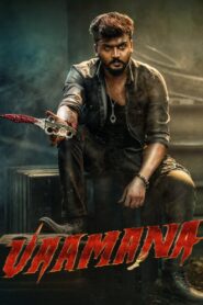Vaamana (2025) WEB-DL [Hindi (DD2.0) & Kannada] 1080p 720p & 480p Dual Audio [x264/10Bit-HEVC] | Full Movie