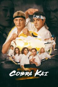 Cobra Kai (2024-2025) Season 6 (Part 1 – 2 – 3) Dual Audio {Hindi-English} NetFlix-Series 480p | 720p | 1080p WEB-DL