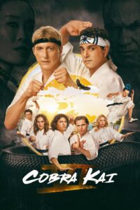 Cobra Kai (2024-2025) Season 6 (Part 1 – 2 – 3) Dual Audio {Hindi-English} NetFlix-Series 480p | 720p | 1080p WEB-DL