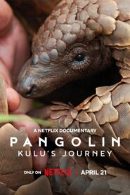 Pangolin: Kulu’s Journey 2025 Hindi Dual Audio WEB-DL 720p – 480p – 1080p