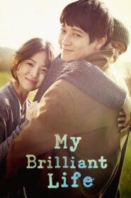  My Brilliant Life (2014) BluRay Dual Audio {Hindi-Korean} 480p [415MB] | 720p [1.2GB] | 1080p [2.3GB]