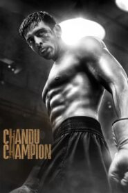 Chandu Champion (2024) AMZN WEB-DL {Hindi DD5.1} Full Movie WEB-DL 480p [550MB] | 720p [1.3GB] | 1080p [2.8GB] | 2160p 4k [15GB]