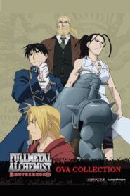 Fullmetal Alchemist The Revenge Of Scar (2022) Dual Audio {Hindi-English} 480p [450MB] | 720p [1.2GB] | 1080p [2.5GB]