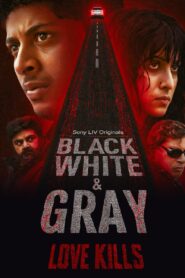 Black, White & Gray – Love Kills (Season 1) 2025 Hindi Complete Web Series 480p | 720p | 1080p | 2160p 4K WEB-DL