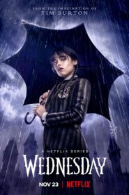 Wednesday – Netflix Original (2022) Season 1 Dual Audio {Hindi-English} 480p | 720p | 1080p WEB-DL