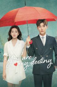You Are My Destiny (2020) [Season 1 Episode 19 Added] Hindi Dubbed (ORG) WEB-DL 1080p 720p 480p HD (Chinese Drama TV Series)