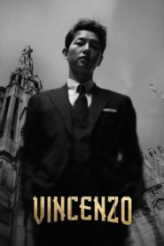 Vincenzo (Season 1) Dual Audio [Hindi-English] Complete Netflix Web Series 480p [270MB] | 720p [500MB] | 1080p [900MB]