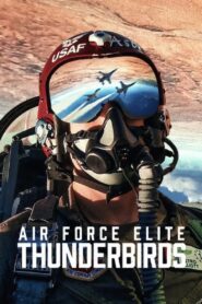 Air Force Elite: Thunderbirds (2025) WEB-DL [Hindi (DD5.1) & English] 4K 1080p 720p & 480p Dual Audio [x264/HEVC] | Full Movie