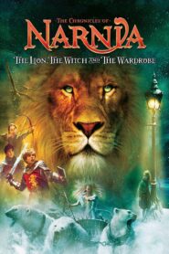 The Chronicles of Narnia: Part 1 (2005) Dual Audio {Hindi-English} 480p [400MB] | 720p [1.2GB] | 1080p [5GB]