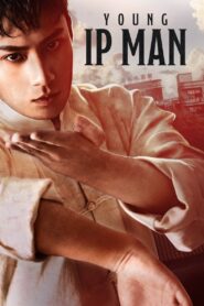 Young Ip Man: Crisis Time (2020) WEB-DL Dual Audio {Hindi-Chinese} 480p [280MB] | 720p [740MB] | 1080p [1.5GB]