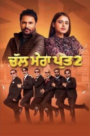 Chal Mera Putt 2 (2020) WEB-DL [Punjabi DD5.1] 1080p 720p & 480p [x264/HEVC] | Full Movie
